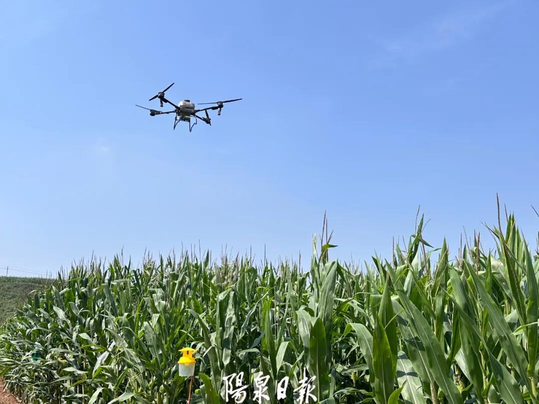 10.5億→17.3億！破譯陽泉“特”“優”農業發展密碼